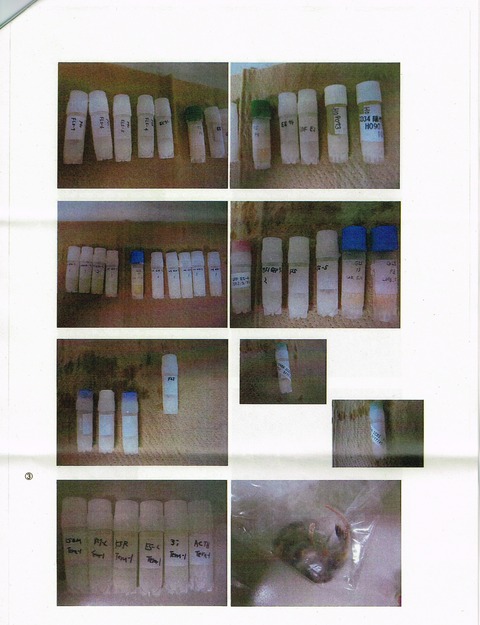 obofile-5
