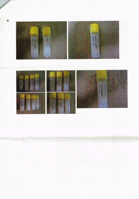 obofile-7
