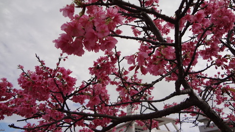 DSC01491