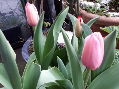 rps20190418_173058_196