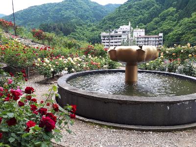 rps20180605_205928_478