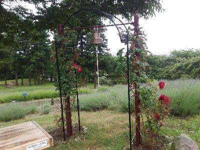 rps20170622_213936_336