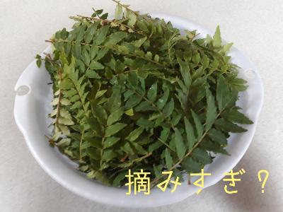 rps20180524_154558_536