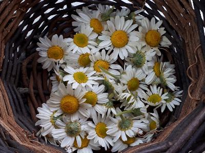 rps20180617_133234_334