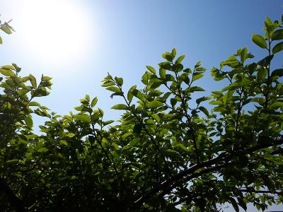 rps20190511_235145_647