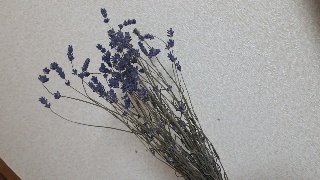 rps20181019_220250_116