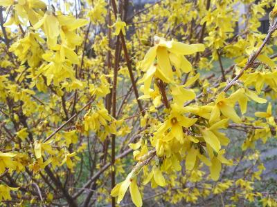 rps20190404_085159_914
