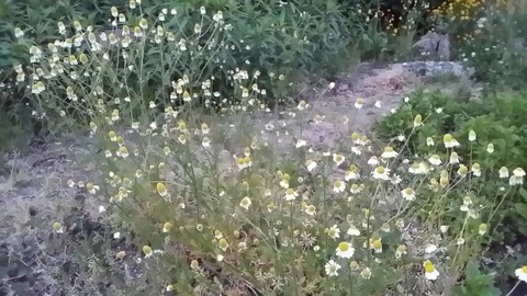rps20150514_190906_209
