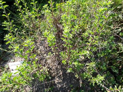 rps20190511_235432_543