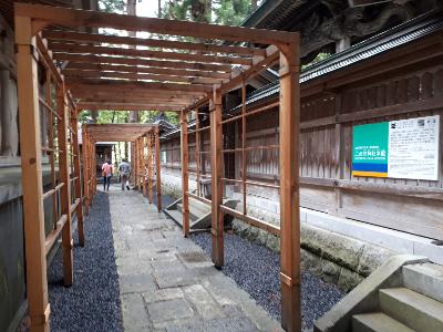 rps20190425_160322_444