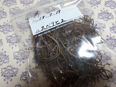 rps20180720_124215_462