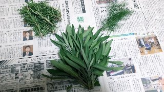 rps20181019_220328_432