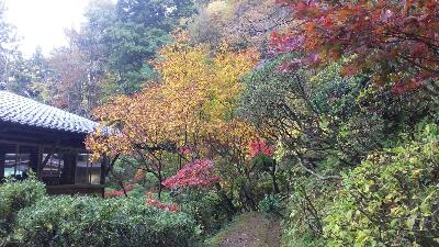 rps20171104_160407_467