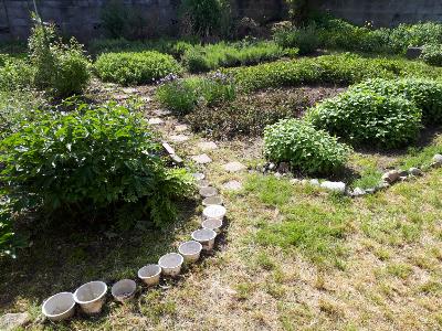rps20180515_155705_204