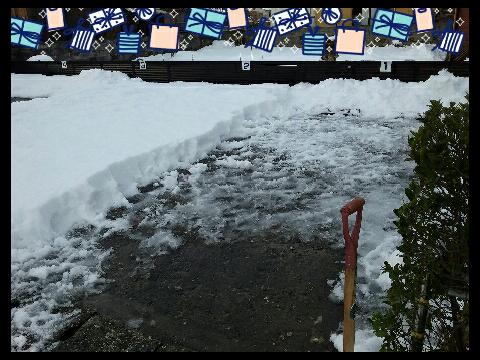 rps20170119_194832_142