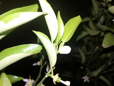 rps20170607_210806_251