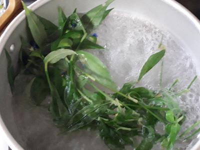 rps20180811_093723_098