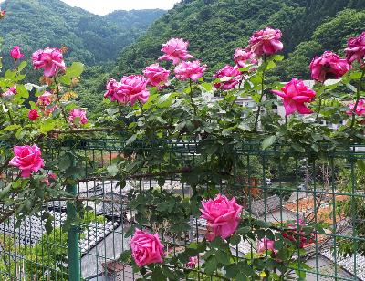 rps20180606_221422_468