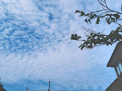 rps20180511_090625_312