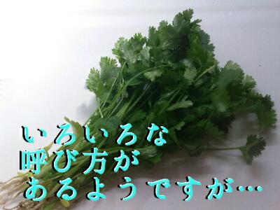 rps20170628_175506_310