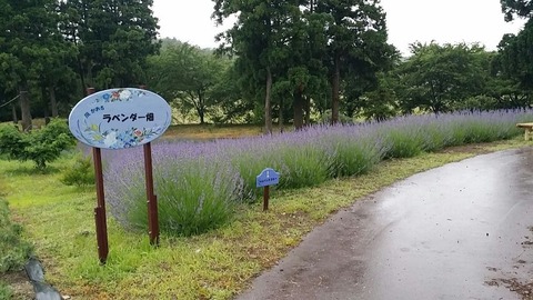rps20150627_183854_456