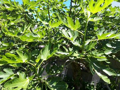 rps20180617_133031_163