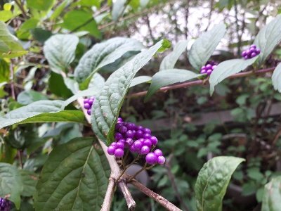 rps20180924_175925_583