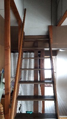 rps20181101_124130_238
