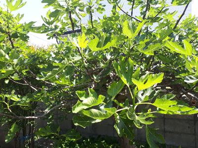 rps20180525_124403_728