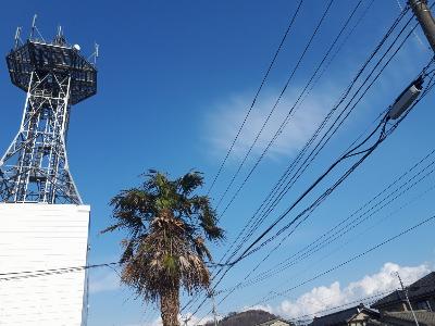 rps20190404_154423_842