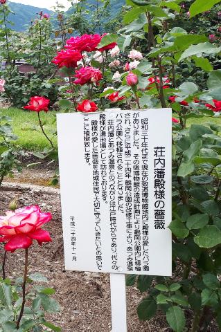 rps20180605_210726_287