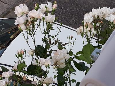 rps20180614_180126_875