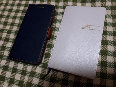 rps20190102_224355_103