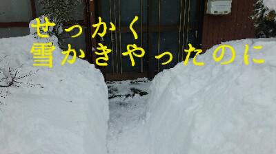 rps20180207_143145_353