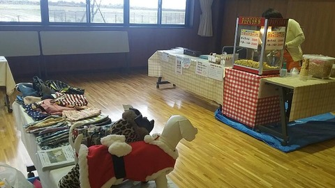 rps20161123_161649_686
