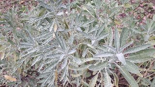 rps20181019_220222_971