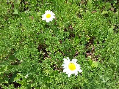 rps20170614_151720_759