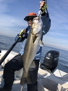 8D8EAE9C-3669-4E7C-A724-A0CD3351FE56