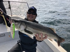 C3EA46C4-9564-4E8B-9373-468C61A8BC4C