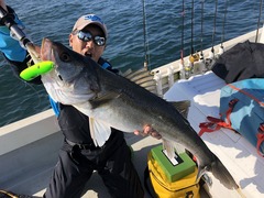 336ED789-AE9C-4FB0-9F80-3D5F5D0E0348