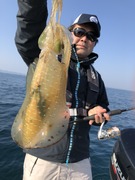 B42598DB-2E9E-44AC-8ED1-41D662EFB995