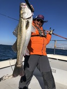 71FDDCDA-A8F1-4C6B-BA42-246C938619E8