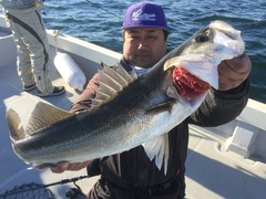 52BAD1F1-F779-451D-B01B-198A9DE5FE56