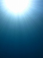 IMG_1116s-