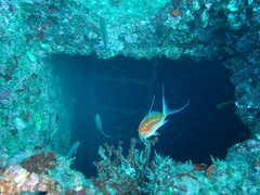 DSC01184