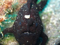 IMG_1123s-