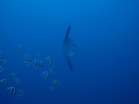 IMG_1201