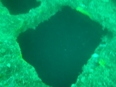 DSC00424