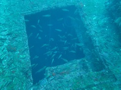 DSC01181
