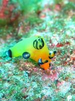 IMG_1101s-
